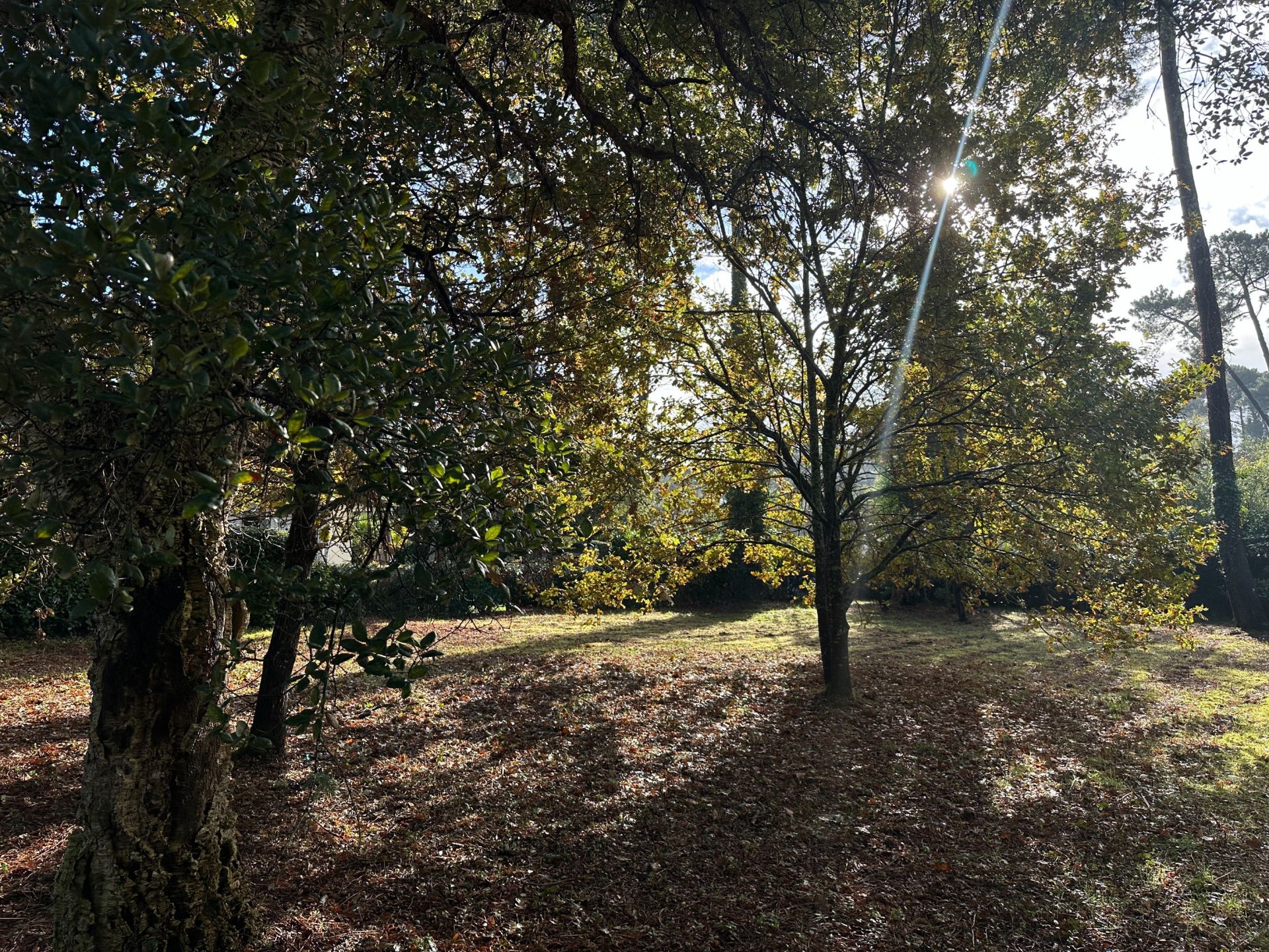 terrain à bâtir en vente sur HOSSEGOR (40150)